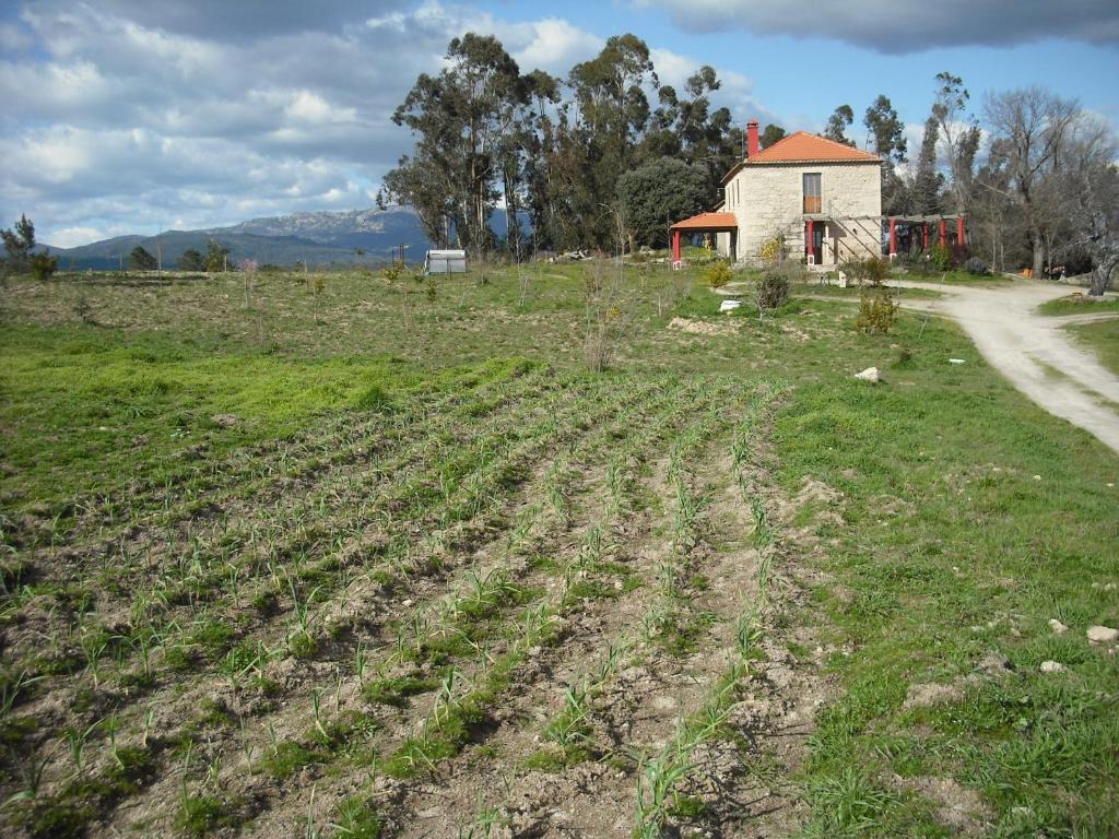 Quinta Da Alma Cheia Pension Ninho do Açor Buitenkant foto