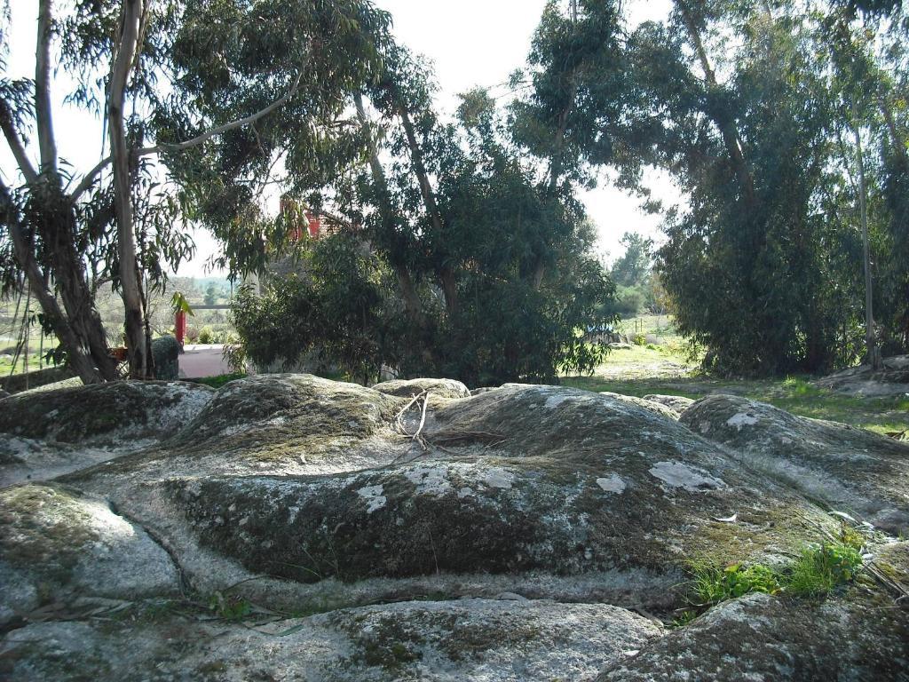 Quinta Da Alma Cheia Pension Ninho do Açor Kamer foto