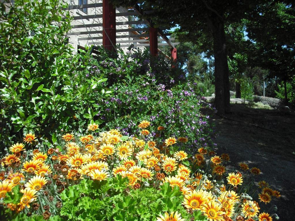 Quinta Da Alma Cheia Pension Ninho do Açor Buitenkant foto